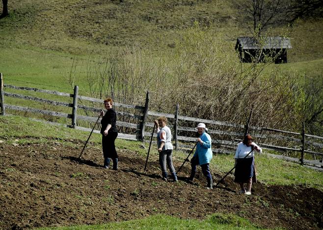 Working Women, Romania